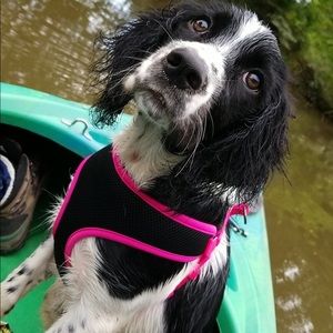 Meet your Posher, Haley